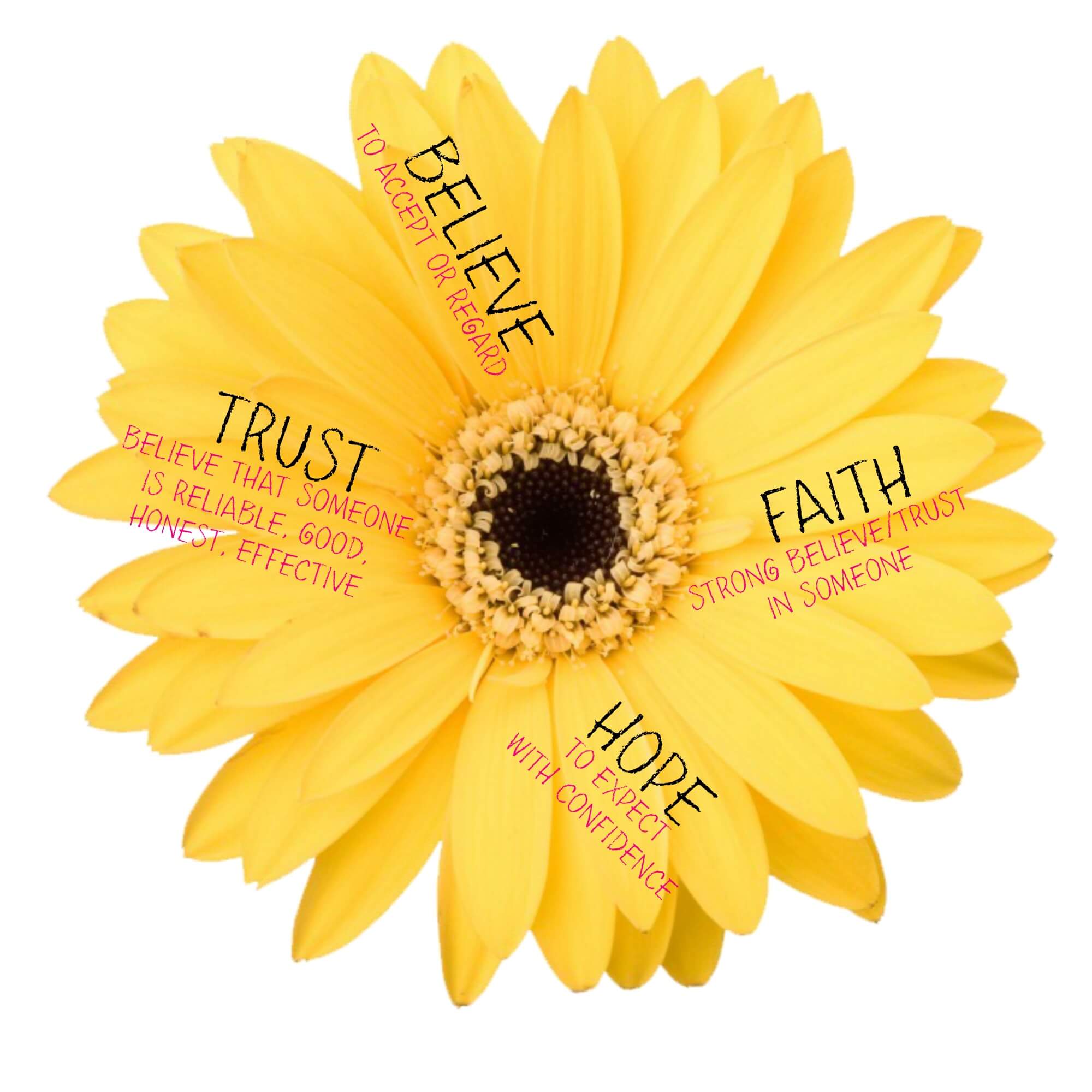 I Believe In You