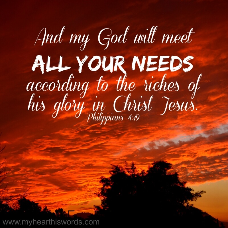 The Beauty Of God's Provision
