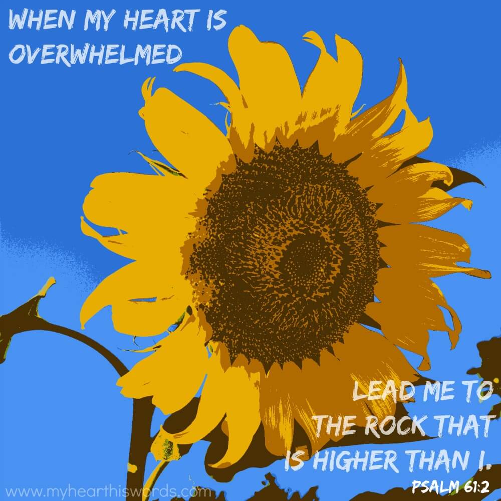 When Your Heart Is Overwhelmed