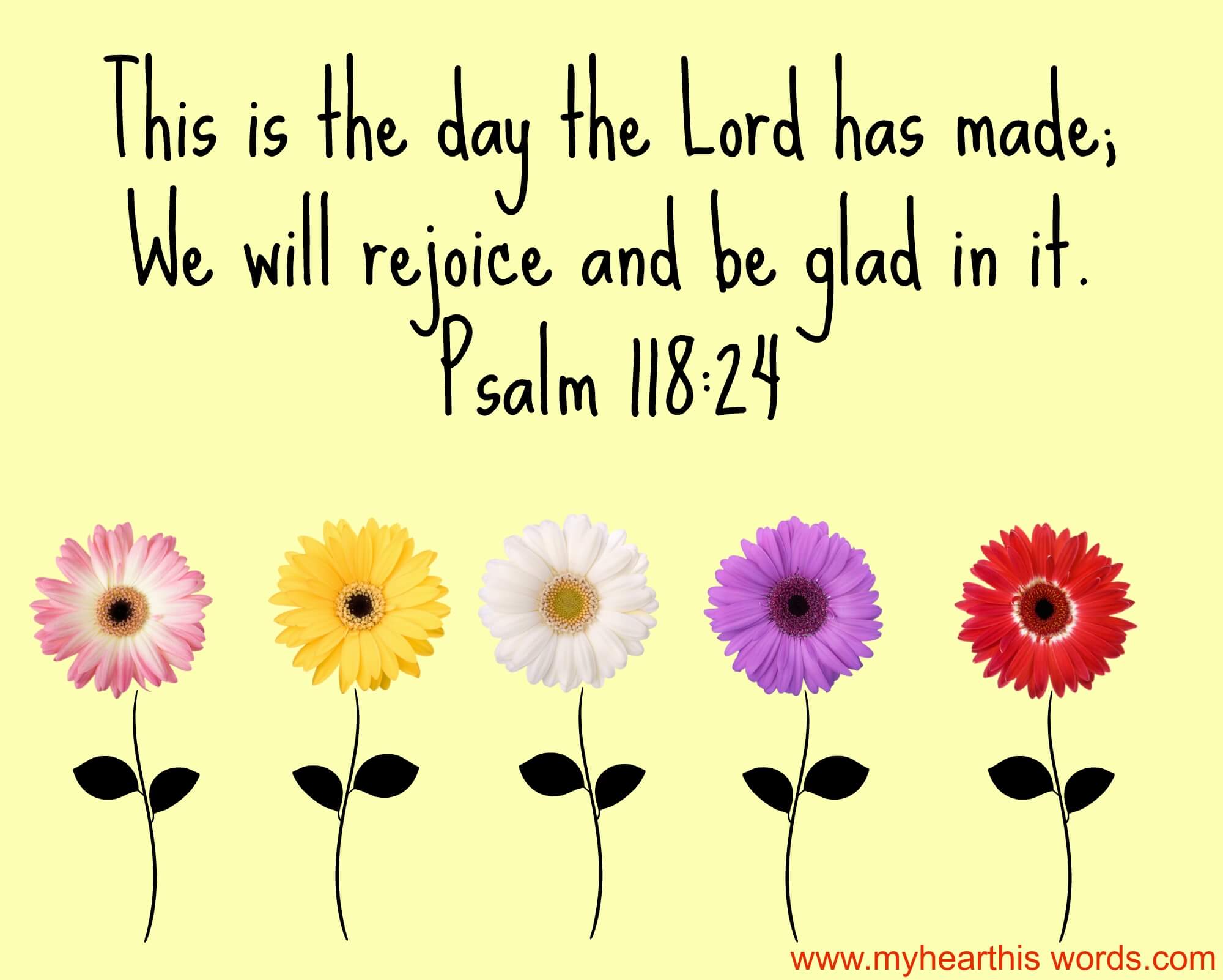 Rise and Shine!