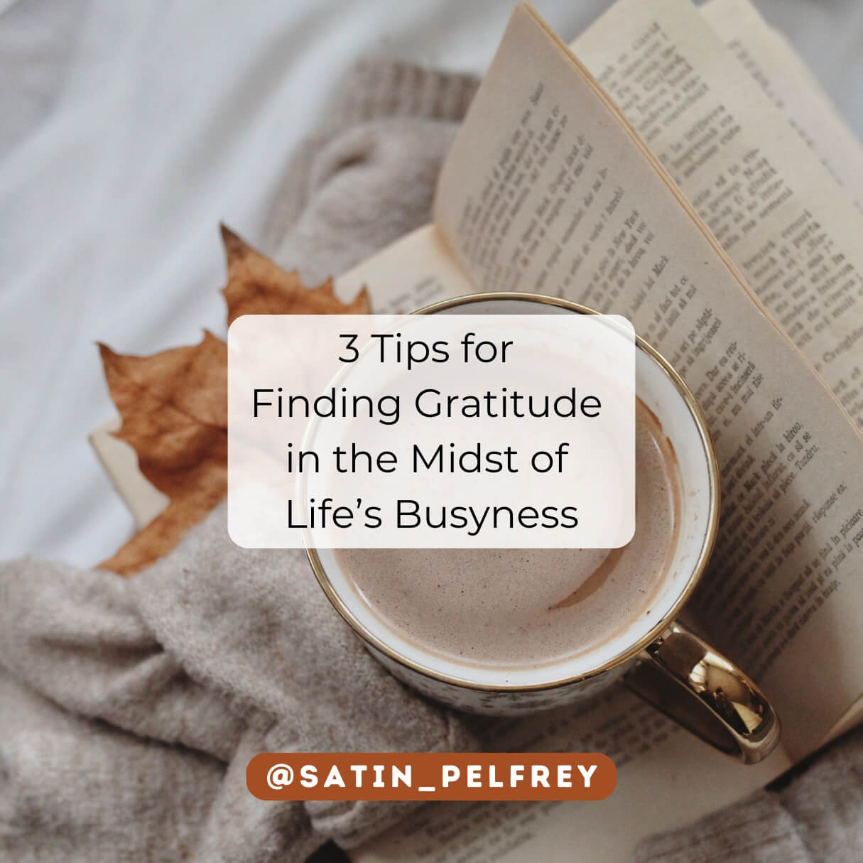 Finding Gratitude in the Midst of Life’s Busyness