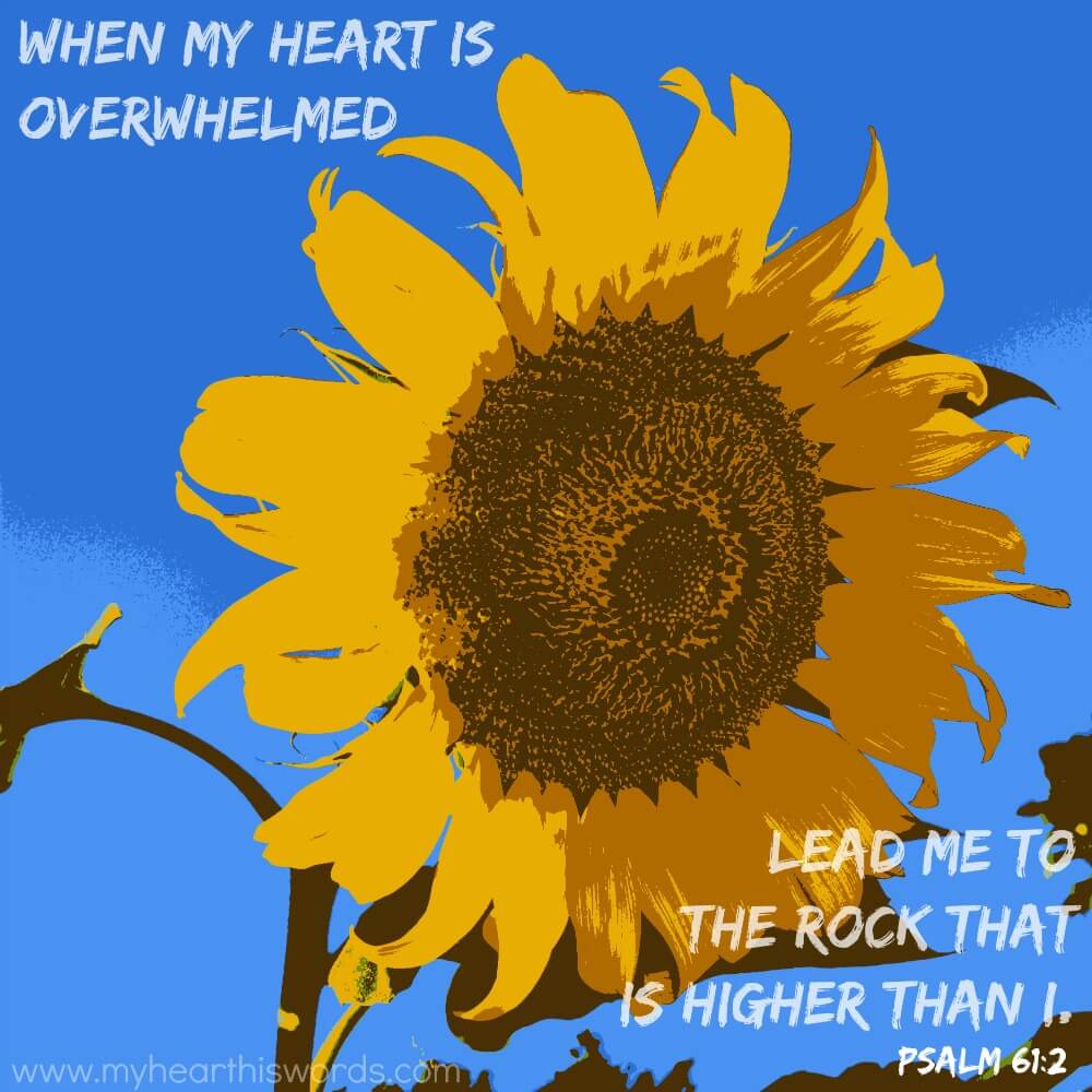 My-heart-His-Words-with-Satin-Pelfrey_psalm-61-21